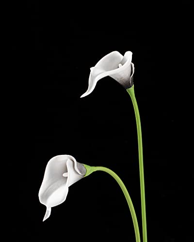 Duhouse 20Pcs Calla Lily Artificial Flowers Real Touch Latex Flowers For Diy Wedding Bouquet Party Home Decor(Black White) #TOP4