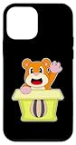 Hamster Karton