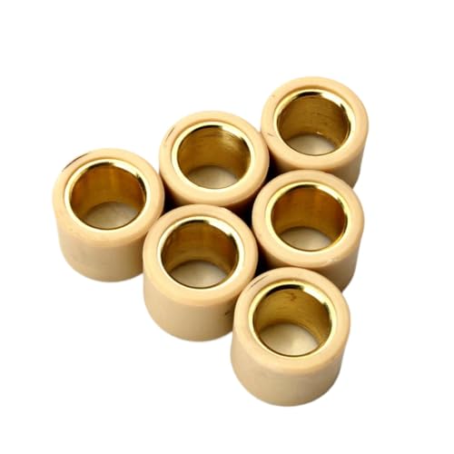 6PC�o���G�[�^�[���[���[�E�F�C�g12 5G 20x17mm�����i�[FX FXR 180�����HEXAGON LX LXT 180cc�X�N�[�^�[�p�[�c�ƌ݊���