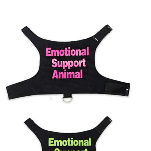 Conjunto de 3 conjuntos de roupas de lagartos de dragão barbudo com coleira para animais de estimaçã