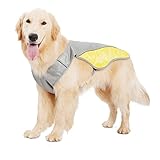 Abaodam WO8O24SNUNY1353Q8YII0ZJYF