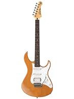 Alder Body Maple Bolt-On Neck Rosewood Fingerboard Vintage Tremolo 5 Position Switch