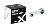 RIDEX