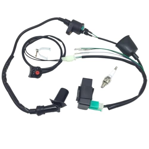 Faisceau de câbles CDI programmable pour restaurer votre dirt bike de rando 160cc - 3