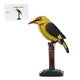 FILONA バードビルディングブロックセット、レイヴンバード/クリエイティブグース/キングフィッシャー/ゴールデンオリオール/ノーザンカーディナル/フェルバトビルディングブロックモデルキット、デスクデコレーションホリデーコレクターギフト(189個)
