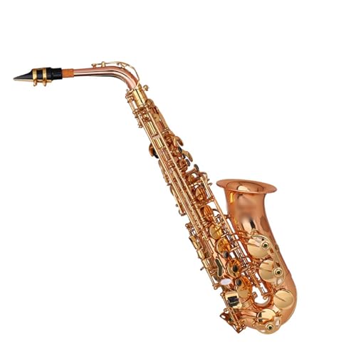 E�t���b�g�A���g�T�b�N�X�^�J�{�f�B�h���S�[���h�O���[�h���t�y�c�v���t�F�b�V���i���p�t�H�[�}���X �v���t�F�b�V�T�b�N�X