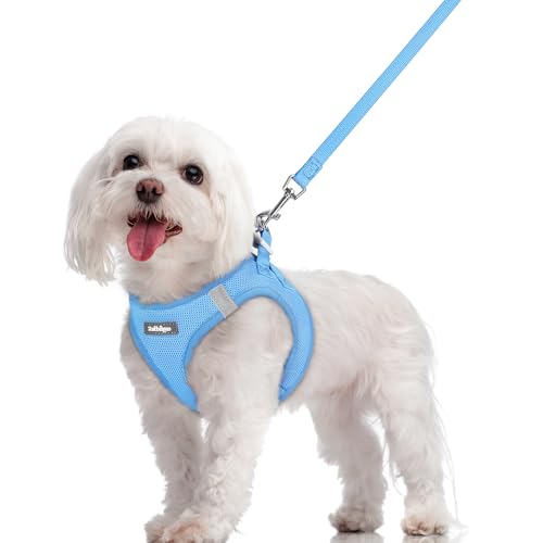 Image of rabbitgoo Dog Harness Medium Sized and Leash Set, Step-in Puppy Pet Vest