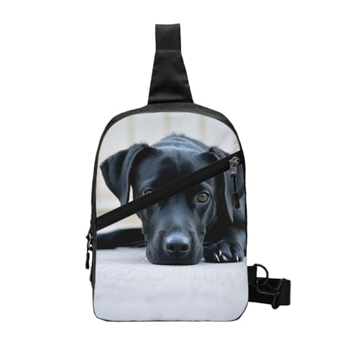 Cute Black Dog Print Men's and Women's Foldable Crossbody Bag,Sports Crossbody Bags,and Daily Chest Bags