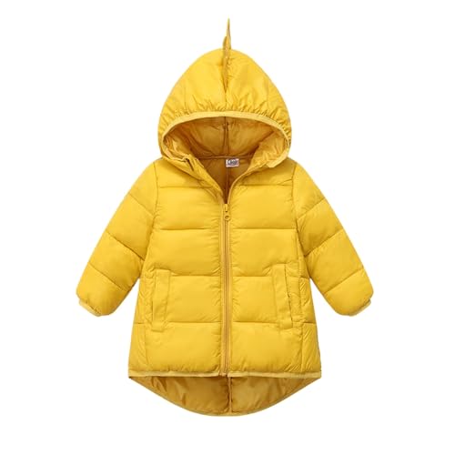 Kids Toddler Zip up Hooded Puffer Coats Winter Warm Windproof Outwear Boys Quilted Thick Down Jackets with Pockets