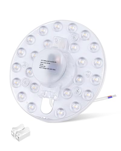 DoRight 12W Módulo LED Kit de Conversión Reemplazo Redondo Para Lámparas de Techo Blanco Frío 6000K con Imán para Neno Fuente de luz de Techo Redonda Adecuada para Marco de Techo de Hierro 220V