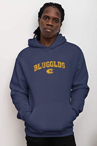 CreateMyTee | Wisconsin Eau Claire Blugolds Arched One Color Hooded Sweatshirt |2