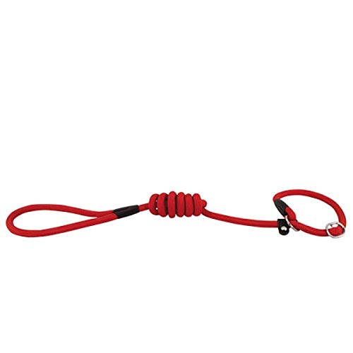 Doogy Laisse Lasso Corde Basic pour Chien Rouge Autre