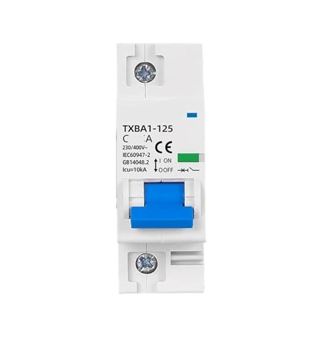 Disjoncteur de type C DZ47 10KA protecteur de circuit de surcharge 1P 80A