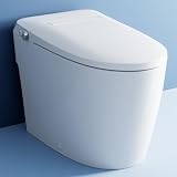HOROW T30 Non-Electric Bidet