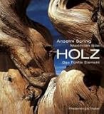 Holz: Das fünfte Element (Villa Arceno) - Anselm Spring, Maximilian Glas 