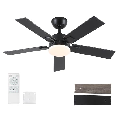 Image of Rayqueen 42 Inch Black Ceiling Fans with Lights and Remote,Includes Downrod