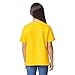 Gildan Youth DryBlend T-Shirt, Style G8000B, 2-Pack, Daisy, Medium