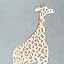 Giraffe Moss