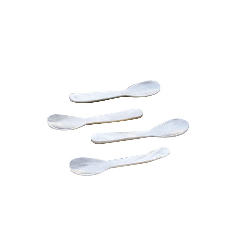 Cucharas de Helado de 4 Uds., Cuchara de Concha de caracola Natural, Cuchara de café, Cuchara de Conchas Marinas, Cuchara de Caviar