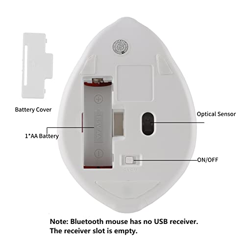 Image of Bluetooth 5.1 Wireless Mouse,No Receiver Inside,Cute Animal Hamster Shape,M Size Silent Click Compatible with Android Tablet /MacBook /Chrome /Microsoft Surface /Windows 8.1 Above, Gray