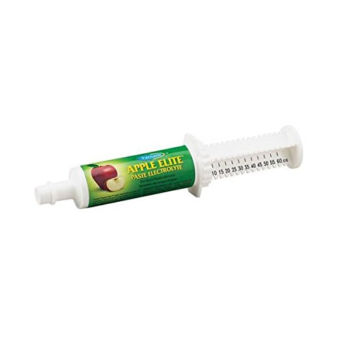 Best Electrolyte For Horses