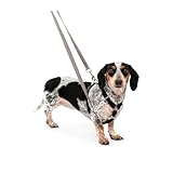 PetSafe Sure-Fit Harness - Maximum Adjustability - Soft Padded Straps - Nylon Strap Pet Harness - Quick Snap Buckle - Built-in Leash Attachment - Travel Friendly - Small - Black