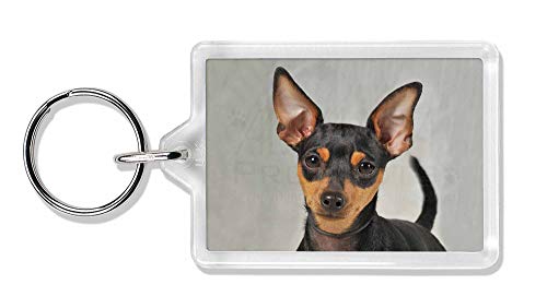 Preisvergleich Produktbild Advanta - Keyrings Miniature Pointer Dog Foto Schlüsselbund TierstrumpffüllerGeschenk