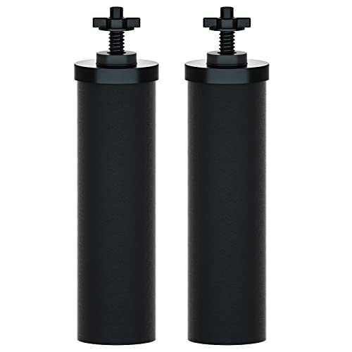 Purewell PB-2 Schwarz Ersatz Reinigung Elements - Ersatzfilter für Wasseraufbereiter, kompatibel mit Schwerkraft Filtersystem Cover