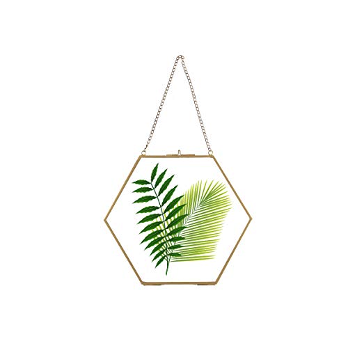 Longwin Gold Glass Frame For Pressed Flowers 9.4 Inch Brass Hexagon Shaped Hanging Wall Decor Floating Frame For Dried Leaf Plants Specimen Herbarium Artwork, Glass Frame Only #TOP27