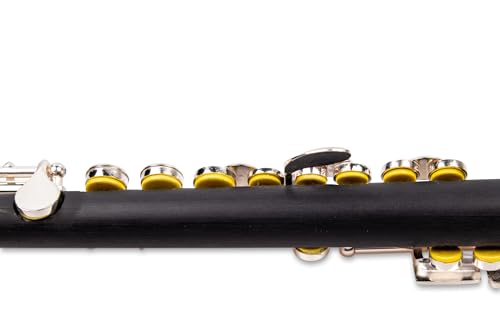 SYMPHONIE WESTERWALD Piccolo Flöte Piccoloflöte echt versilbert Tragetasche Piccoloflöten Zubehör Wartungsservice