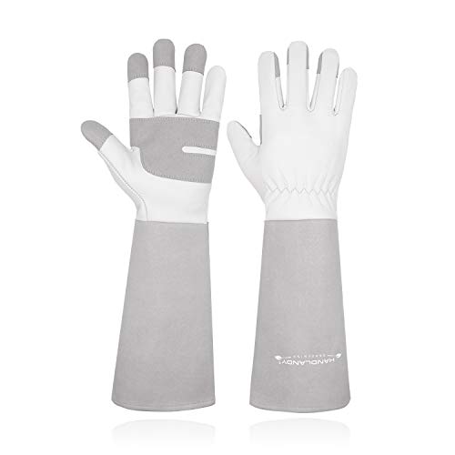 HANDLANDY Long Gardening Gloves for Men & Women, Thorn Proof Rose Pruning Gloves Leather Gauntlets Garden Gloves Yard Work Gloves (Small, Grey) HANDLANDY Long Gardening Gloves for Men & Women, Thorn Proof Rose Pruning Gloves Leather Gauntlets Garden Gloves Yard Work Gloves (Small, Grey)