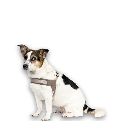 Max & Molly Q-Fit Hundegeschirr Kleine Hunde mit Gotcha! Smart ID Sicherheitsanhänger, Matrix 2.0 Sand/XS, Geschirr Hund Gepolstert & Reflektierend - Komfort für deinen treuen Begleiter