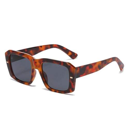 Lunettes de soleil léopard contre la fatigue visuelle style punk