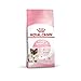 Royal Canin Mother & Babycat Trockenfutter | Doppelpack | 2 x 400 g | Für tragende und säugende Katzen | Alleinfuttermittel speziell für die Mutterkatze und ihre Welpen