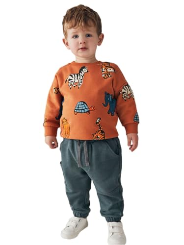 Boys Sweatshirts Casual Sweatshirts Cotton Sweatshirts Long Sleeve T-shirts Crew Neck Cartoon Tops for Boys-2043