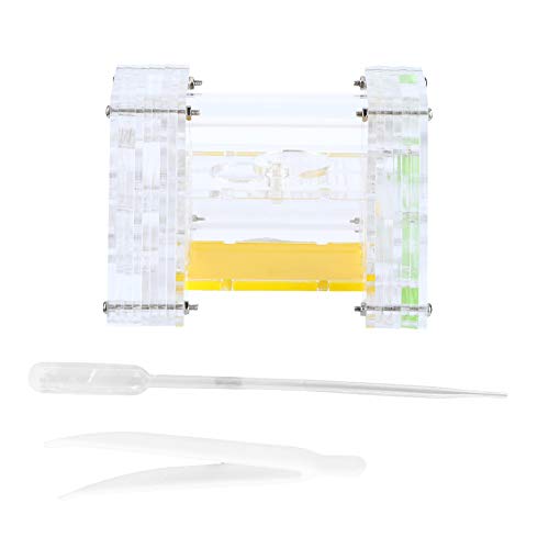 Nido de hormigas transparente que evita fugas con estuche hidratante 6