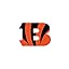 Cincinnati Bengals
