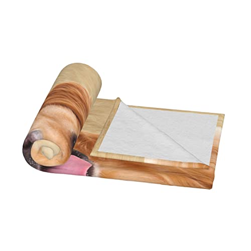 Doinbee Golden Retriever Dog Blankets Cute Dog Labrador Retriever Puppy Pet Throw Blanket Flannel Soft Warm Fluffy Fleece Blanket For Car Sofa Chair Bed Living Room Bedroom All Season 60"X50" #TOP3