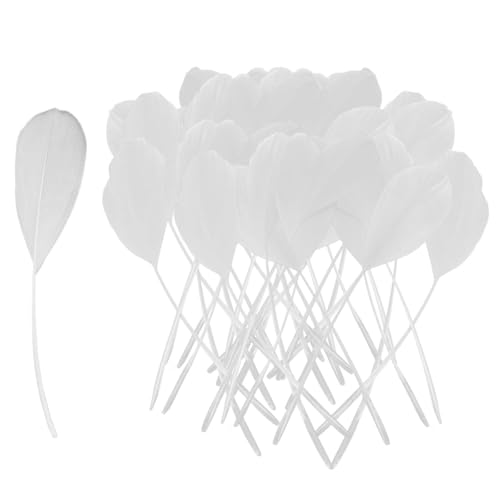 JDNFKG 50 Pièces De Plumes Blanches, Plumes Décoratives Rétro, Plumes pour L'Artisanat, Matériaux De Décoration Vestimentaire, Accessoires De Bricolage...