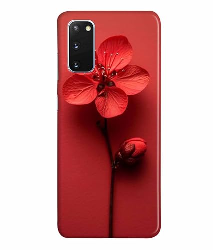 Image of Printed Hard Back Case Cover & Compatible for Samsung Galaxy S20 | Red Flower Painting (Multicolor) - D1195