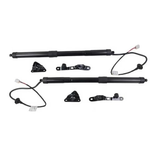 Vérins de coffre pour Toyota RAV4 2013-2018 paire de supports de levage arrière