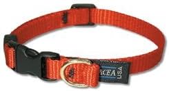 Cat collar without bell Clearance