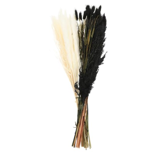 Ramo Seco Conservado de Cañas para Decoración miniatura 1