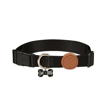 Toh Coleira Avulsa Com Tag Id Preto P
