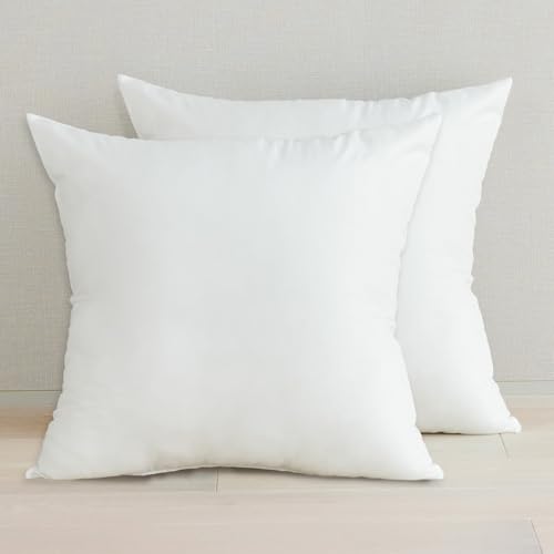 ほこりの出にくい ヌードクッション 60cm×60cm ２個セット シリコン綿 日本製 寝れる クッション 中身 腰クッション クッションBODY クッションカバー 洗えるの商品画像（Amazon）