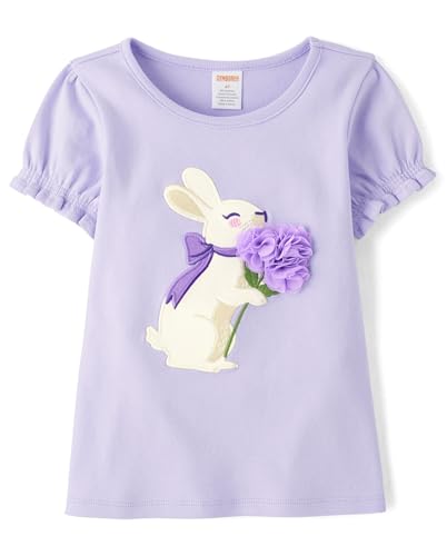 Gymboree Girls' and Toddler Puff Sleeve Embroidered T-Shirt