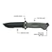 Gerber Gear LMF II Infantry Survival Knife, Military Grade Tactical Fixed Blade with Serrated Edge, Shock Absorbing Handle, Molle Sheath and Sharpener, Green