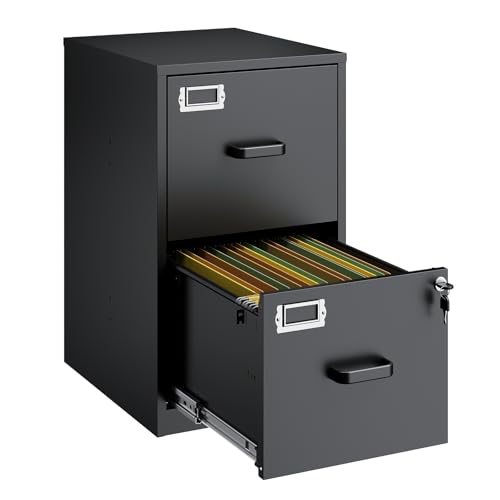 NODHM 2 Drawer File Cabinet with Lock, Metal Filing Cabinets Under Desk, Vertical Small Filing...