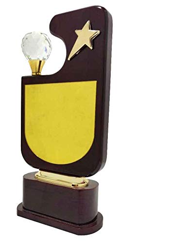 Angel Trophy Wooden Award with Crystal Diamond with Metal Golden Star (9 INCH) (B08D6SZ7CN) Amazon Price History, Amazon Price Tracker