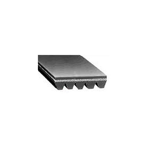 Carlisle 170J5 V-Ribbed Belts with 5 Ribs, J Section, Rubber, 0.46 Belt Width, 17.5" Length